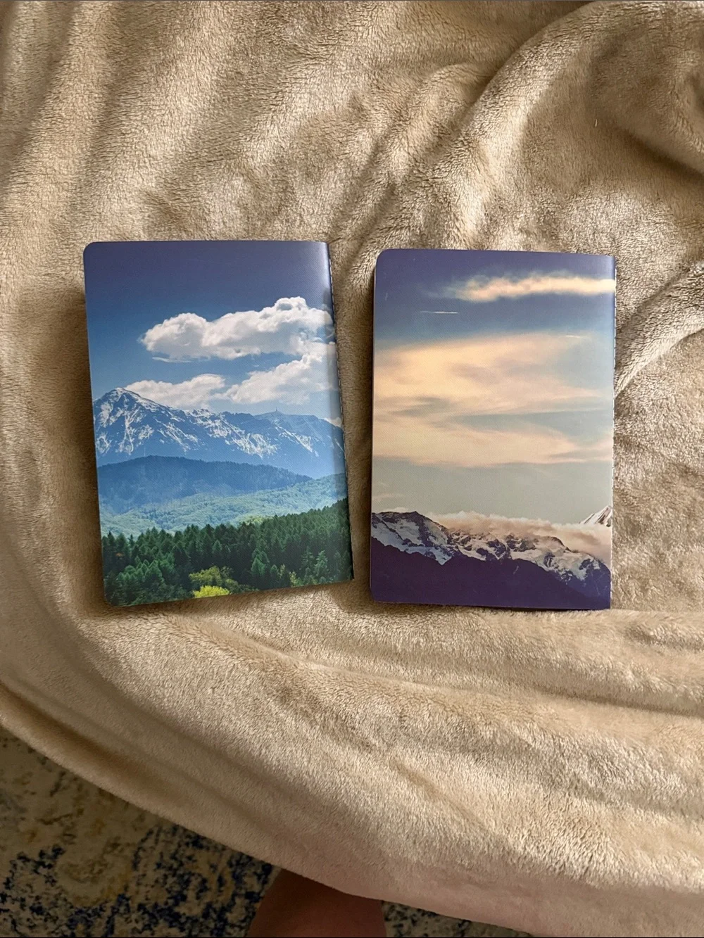 Set of 2 Journal Notebooks